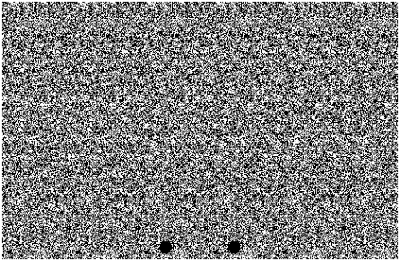 Trk.gif (80192 bytes)