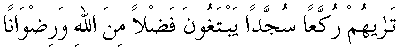 c07010.gif (1052 bytes)