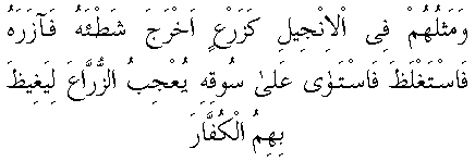 c07013.gif (2294 bytes)