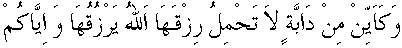 c12002.gif (1124 bytes)