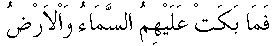 c13011.gif (766 bytes)