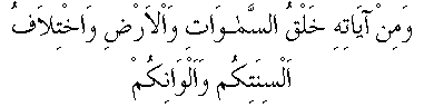 c14008.gif (1456 bytes)