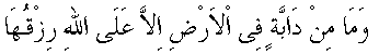 c19003.gif (948 bytes)