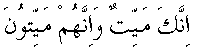 c21007.gif (602 bytes)