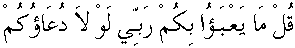 c25004.gif (1651 bytes)