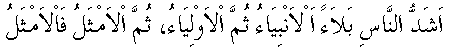 c25005.gif (1297 bytes)