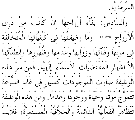 c29162.gif (6805 bytes)