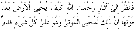 c30218.gif (1958 bytes)