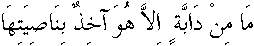 c30244.gif (661 bytes)