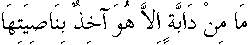 c30247.gif (652 bytes)