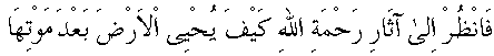c30255.gif (2144 bytes)