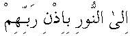 d01143d.gif (533 bytes)