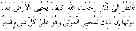 d07282.gif (1991 bytes)