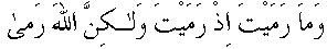 d07303b.gif (1551 bytes)