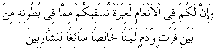 d07331.gif (1846 bytes)