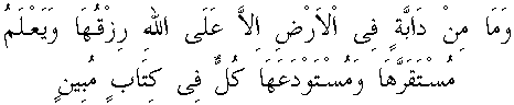 d07345.gif (1813 bytes)
