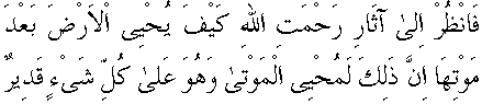 d09503.gif (1951 bytes)