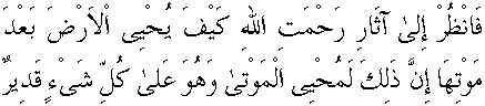 d11523.gif (1953 bytes)
