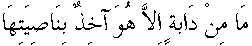 d15934.gif (652 bytes)