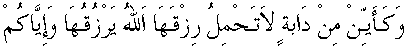 d15935.gif (1074 bytes)