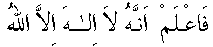 f01031.gif (1438 bytes)