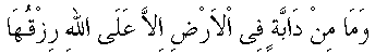 f01058.gif (1737 bytes)