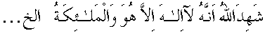 01013.gif (1782 bytes)