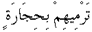 i01106.gif (1197 bytes)