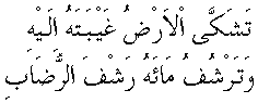 m060.gif (1120 bytes)