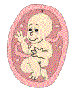 gebelik.org