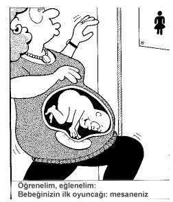 gebelik.org