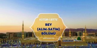 Hayvan vs. ile İlgili Teferruat