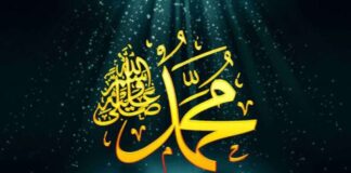 Eğitimde Nebevi Kıvam