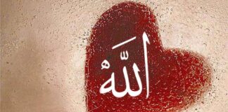 Allah Özel Hissettiriyor