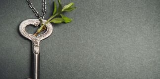 Korku, Çıkar, Sevgi ve Anlam