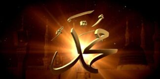 Nebevi Tıp Çerçevesinde Ruh ve Beden Sağlığı – 2