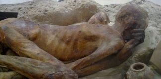 Firavun’un Tövbesi