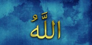 Kul Rabbini Bilecek mi