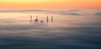 ‘İsmail’lerimizi Feda Ettik mi?