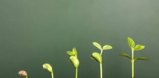 Hayat Umutla Güzeldir