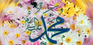 Peygamber Efendimize (s.a.v.) Dört Teklif Tek Cevap