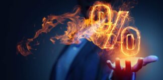 Faizin Yükselişi ve Çöküşü