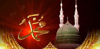 Sünnet Bilinci Üzerine Notlar – 1