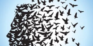 Entelektüellik ve Dindarlık