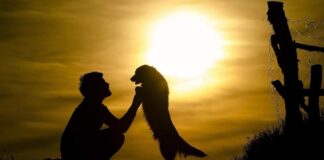 Hayvanatın Vefakârlığı