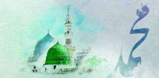 Hz. Peygamberi (s.a.v.) Anlamak