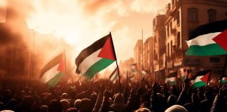 Direnişin Çiçekleri