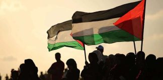 Filistin Direnişi: Sessizliğin Bedeli ve İnsanlık Vicdanı