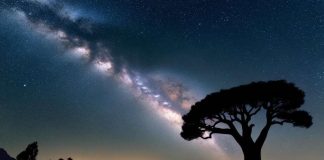 Sidretü’l Münteha