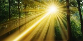 Nasihat Dinle Ey Oğul